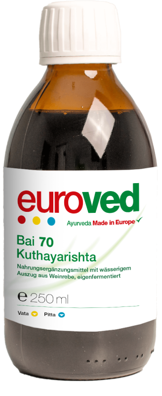 Hing Vastak Churna Ayurvedische Gewürzzubereitung